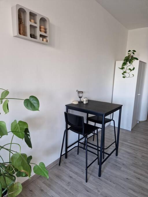 Apartman V Meste 布拉迪斯拉发 外观 照片