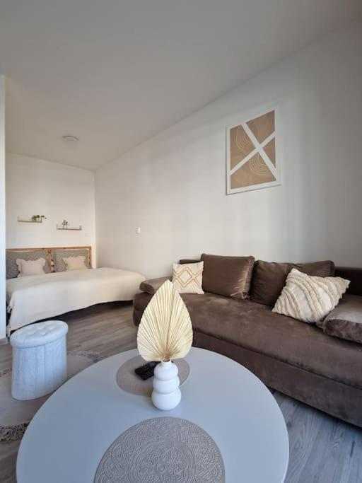 Apartman V Meste 布拉迪斯拉发 外观 照片