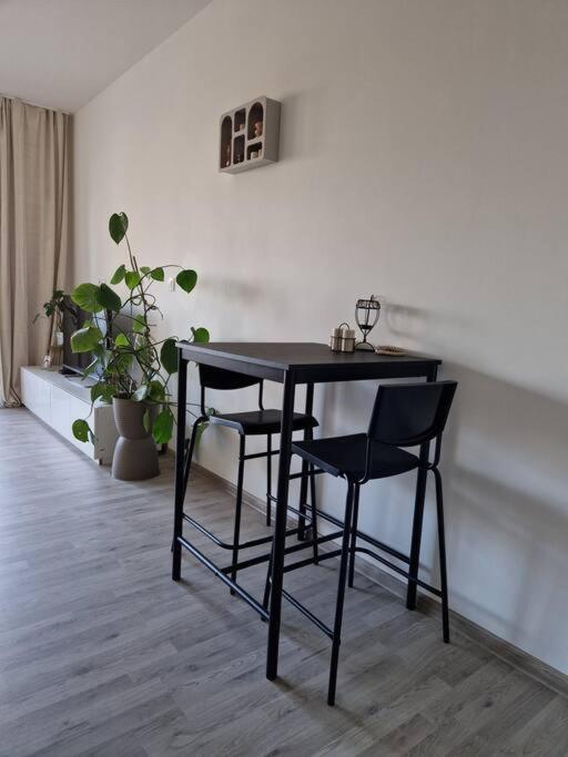 Apartman V Meste 布拉迪斯拉发 外观 照片