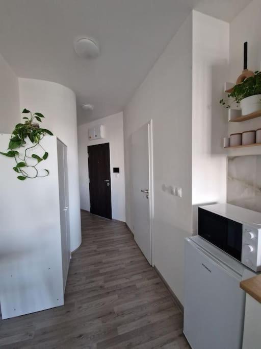 Apartman V Meste 布拉迪斯拉发 外观 照片