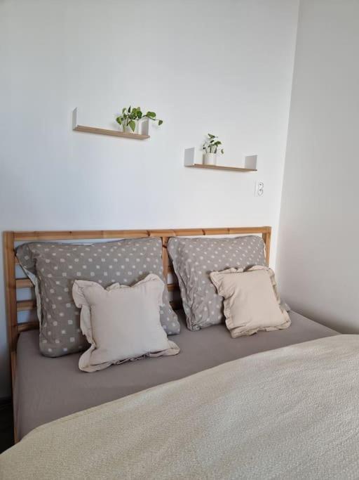 Apartman V Meste 布拉迪斯拉发 外观 照片